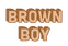 Brown Boy Magazine